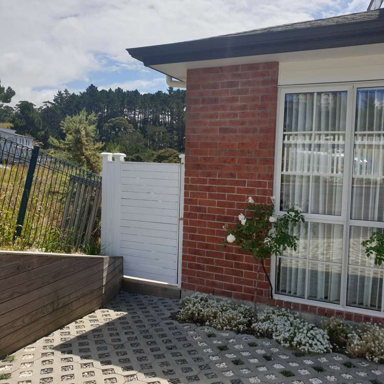 28 Golden Morning Drive Albany Heights_1