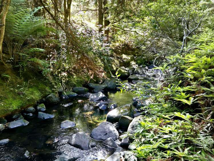 123b Montrose Road Kerikeri_17