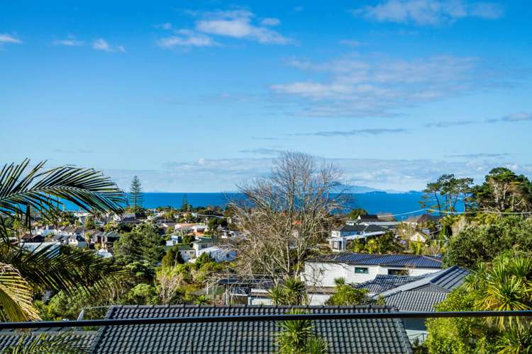 163b Kowhai Road Mairangi Bay_74