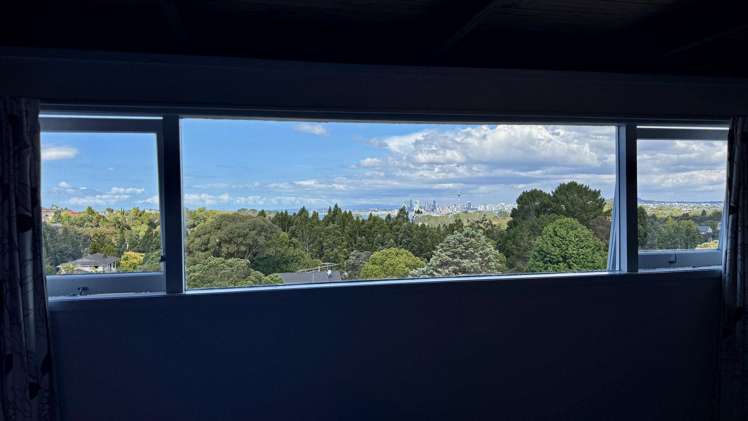 52 Balmain Road Chatswood_34