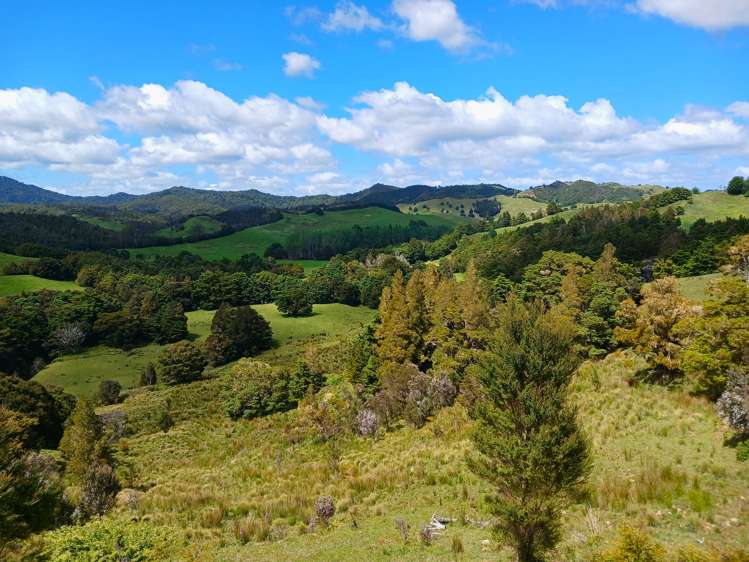 Lot 2 Otangaroa Road Kaeo_10