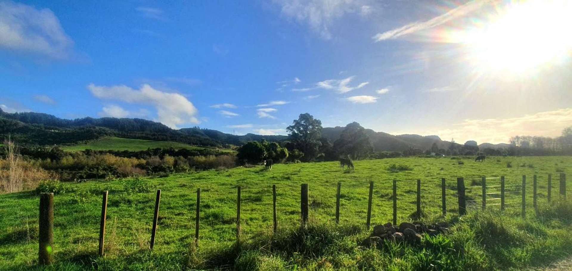 288 North Manakau Road Manakau_0