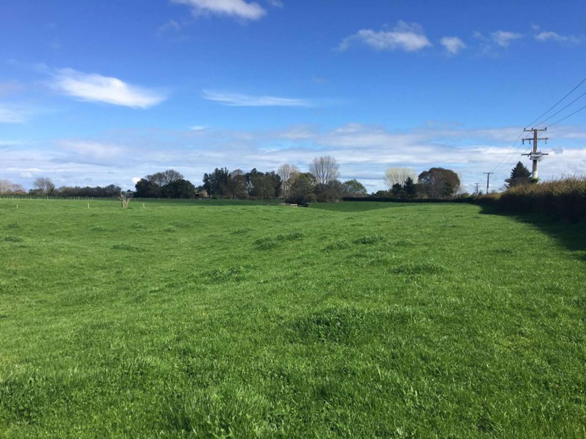 102 Platt Road Tauwhare_0