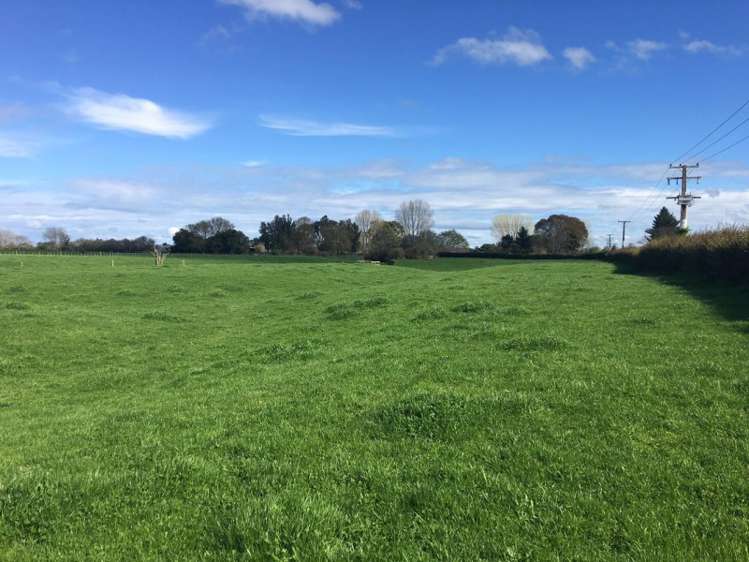 102 Platt Road Tauwhare_0