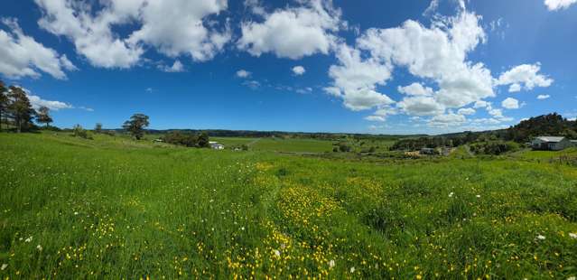 84 Kiwitahi Rd Waimauku_4