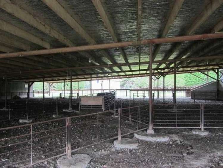 341 Hokonui School Road Winton Surrounds_7