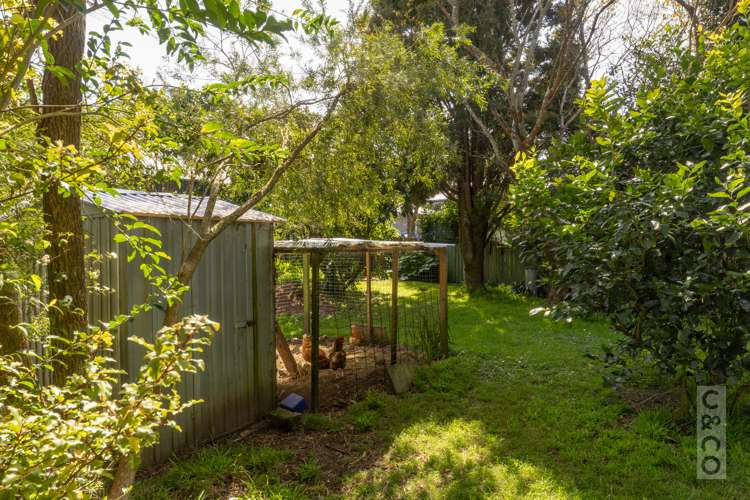 9 Elliot Street Riverhead_19