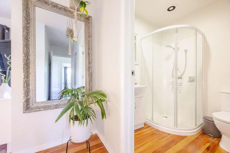 21 Pitt Street Clive_15