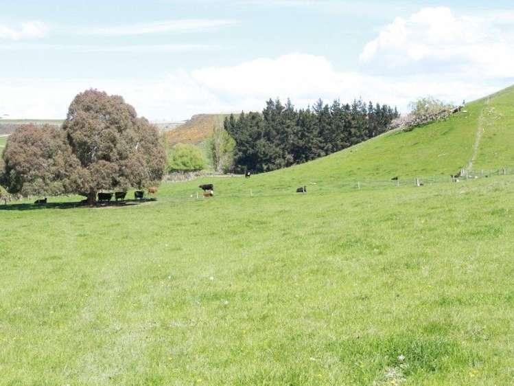 539 Rolling Ridges Road Levels Valley_9