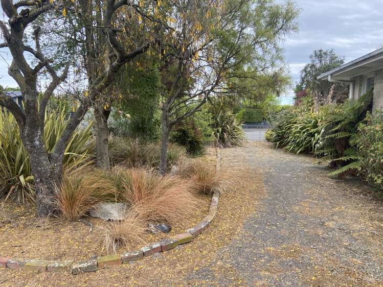 58 Elizabeth Street Allenton_12