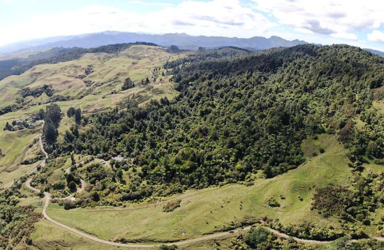 210A Goble Road Komata_33