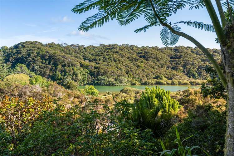 79 Yorke Road Haruru_33