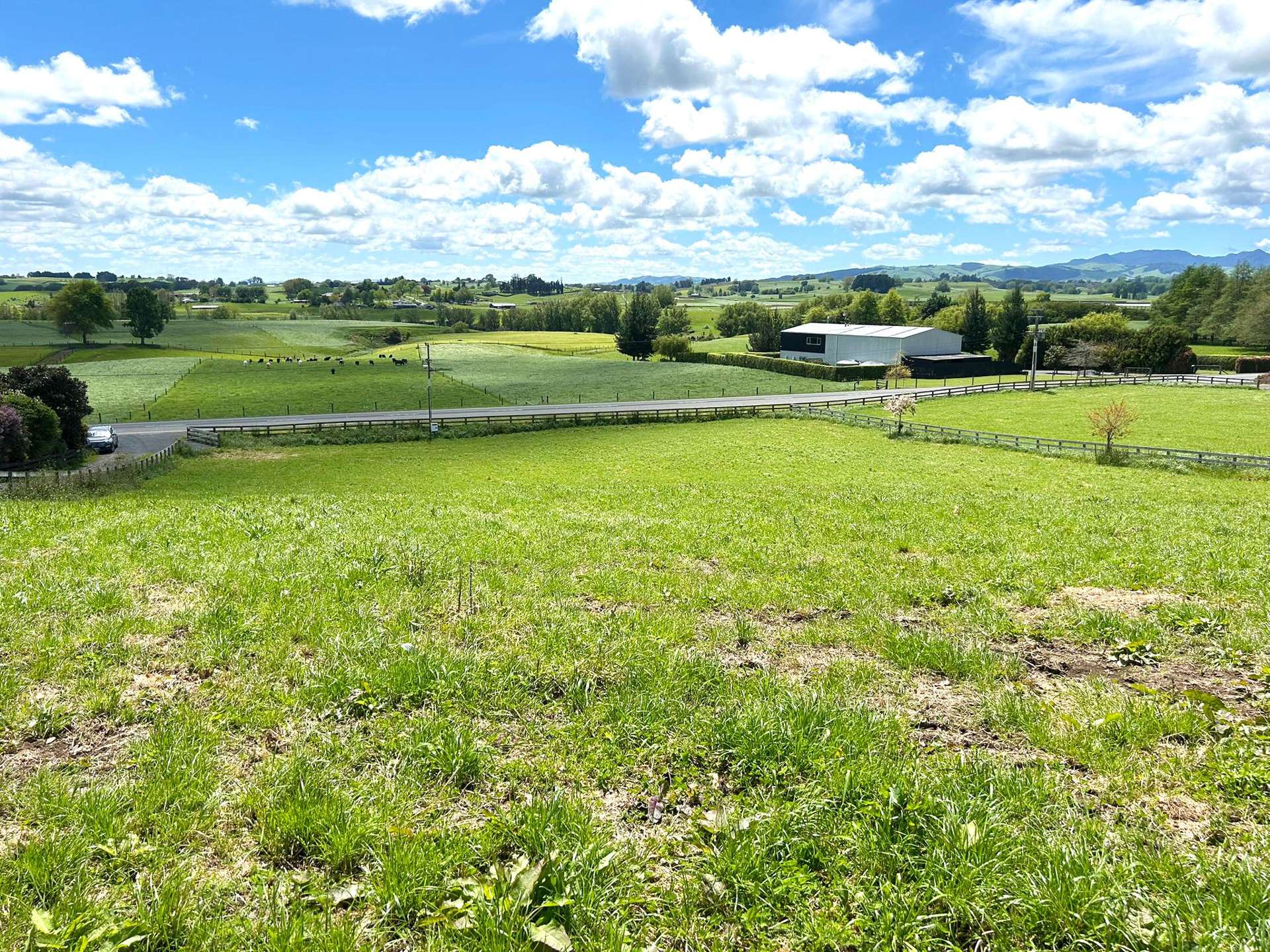 386 Waikeria Road Te Awamutu_0