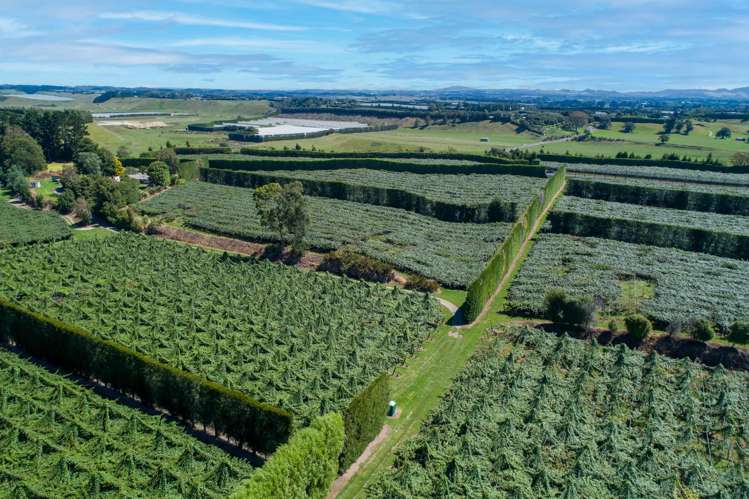 331 Maniatutu Road Pongakawa_16