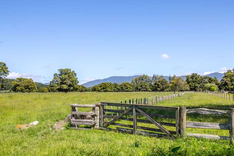 Humphries Street Greytown_7