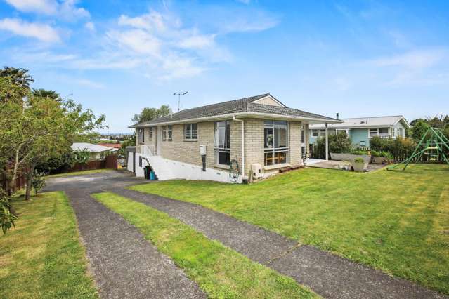 1001 Picquet Hill Road Te Awamutu_1