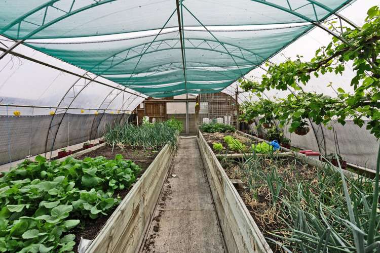 78 East Road Ascot_28