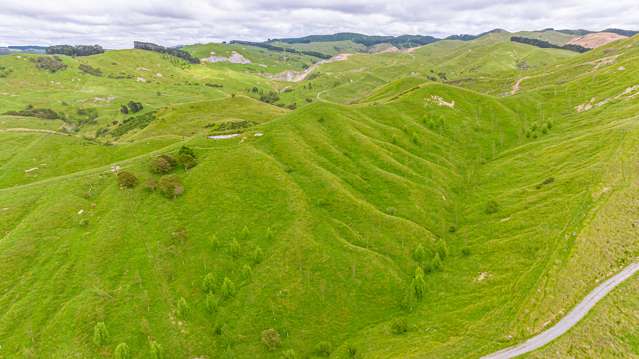 1655 Annedale Road Tinui_1