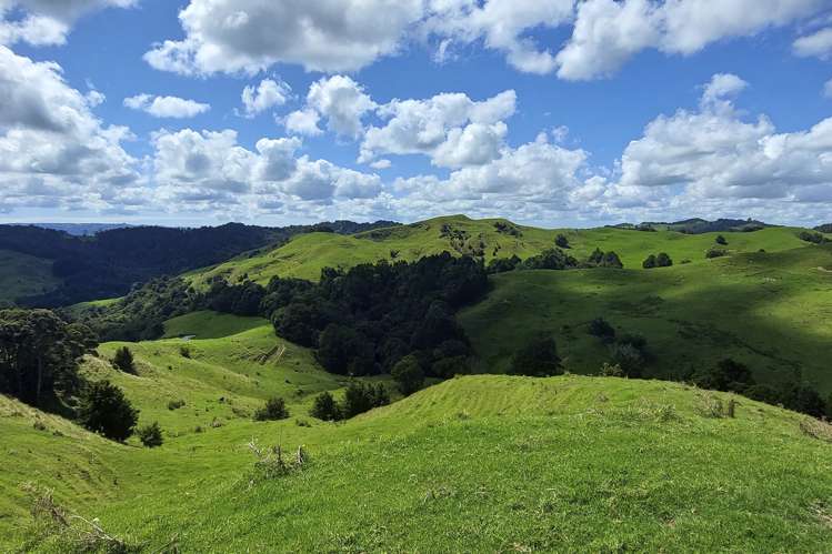 632 Marlow Road Maromaku_15