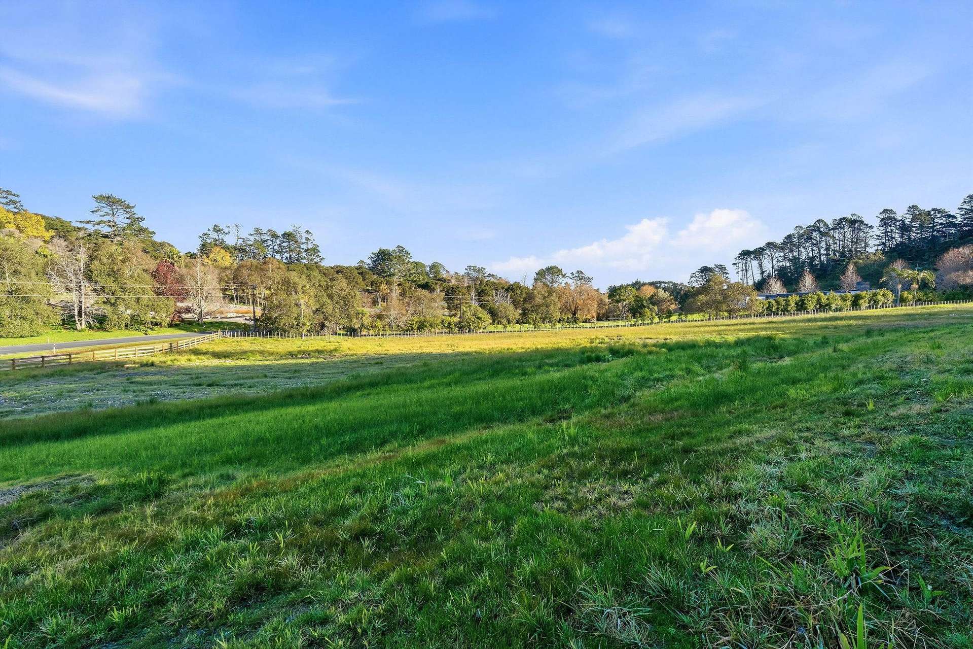 65 Haigh Access Road Dairy Flat_0