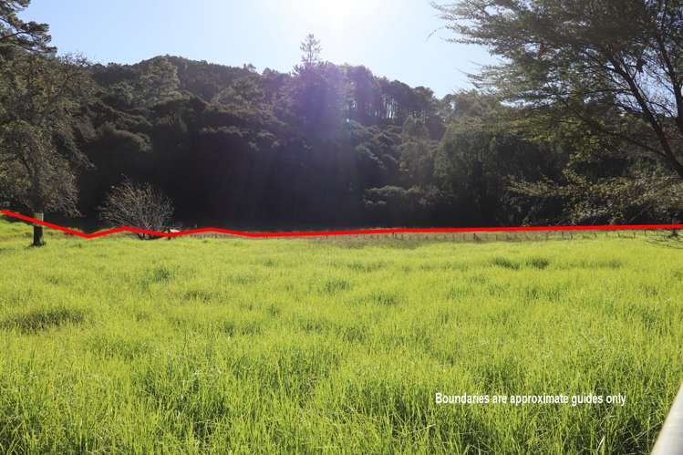 163 and 165 Tapu Coroglen Road Tapu_14