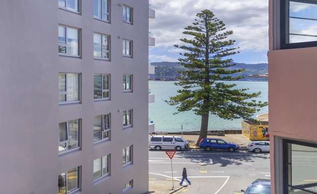 3 Hay Street Oriental Bay_4