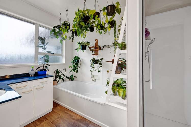 36 Atkinson Street Normanby_10
