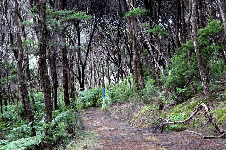 Address withheld Russell_7