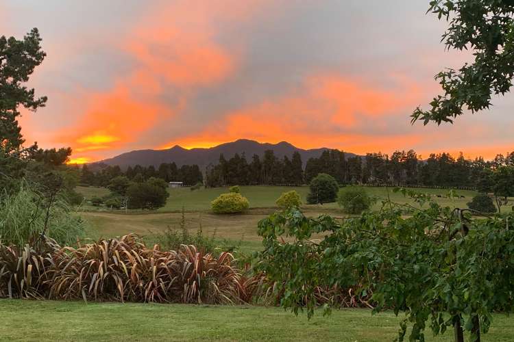 46 Parry Street Pirongia_2