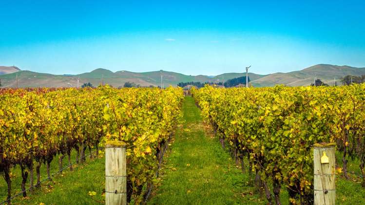 State Highway 50 Roys Hill_10