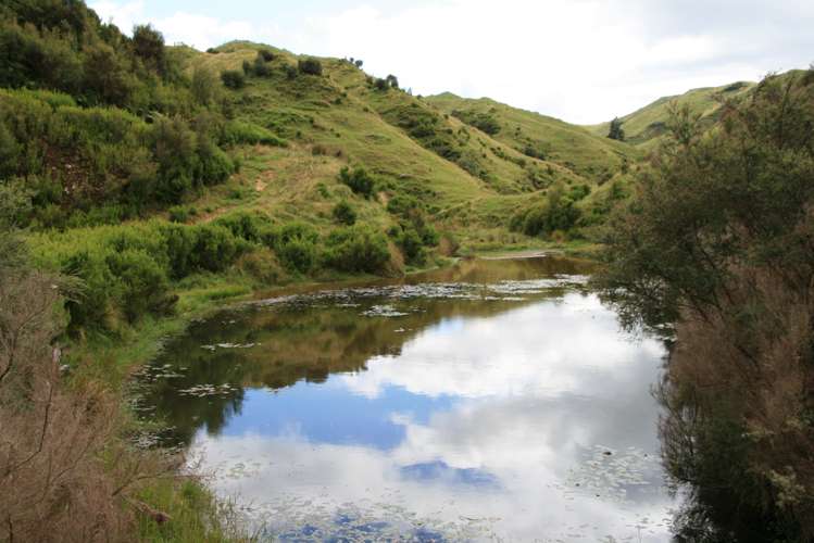 1110 Mangaehu Road Pohokura and Surrounds_2