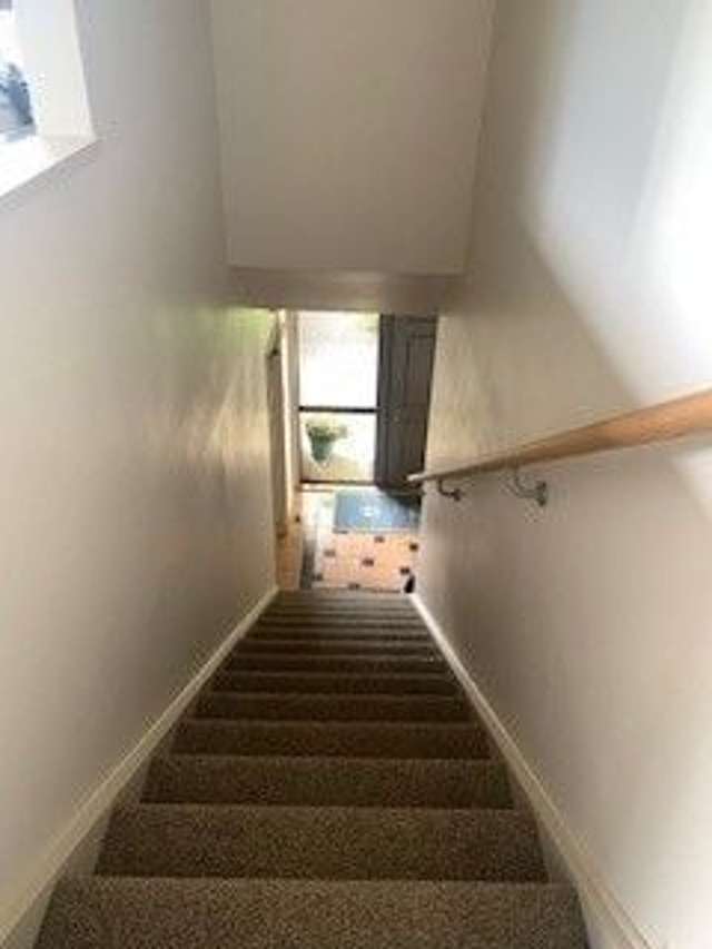 42B Duncansby Road Stanmore Bay_4