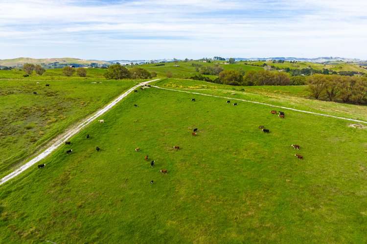 181 Pahi Road Paparoa_17