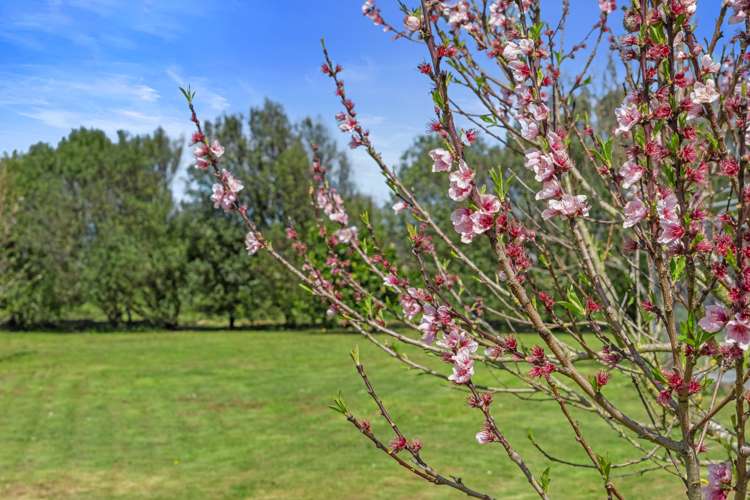 297 Eureka Road Eureka_24