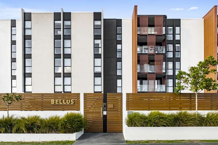 213/189 College Road Stonefields_19