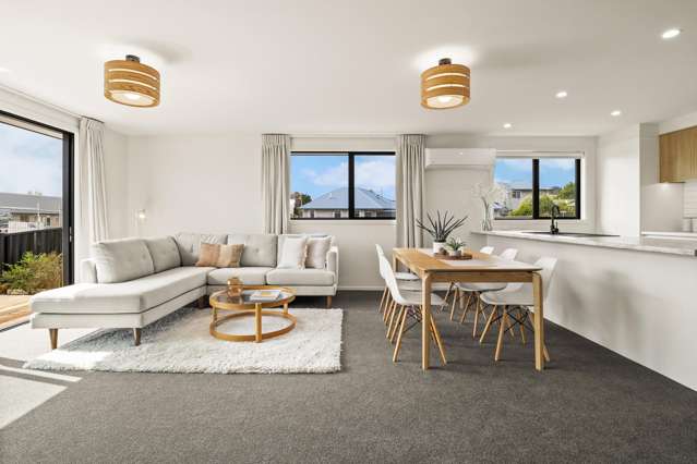 2A Park Street Mosgiel_4