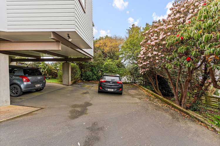 16 Napier Street Belleknowes_28