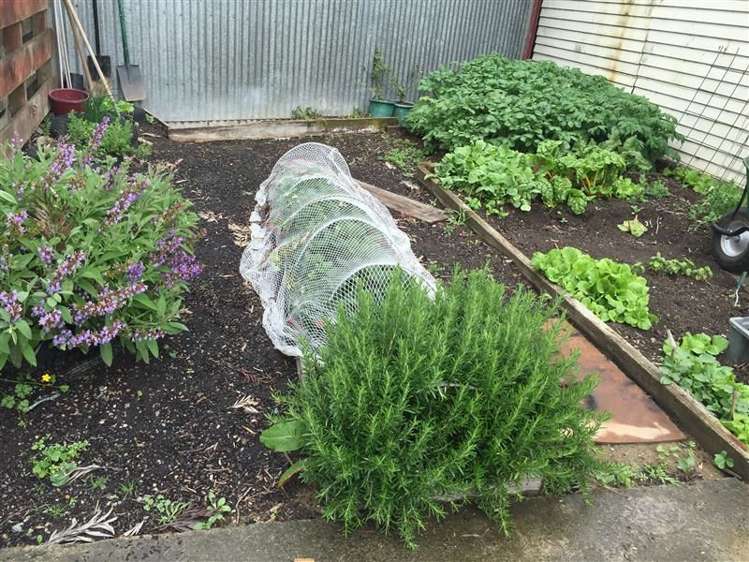 13 Rotoiti Street Tahunanui_3