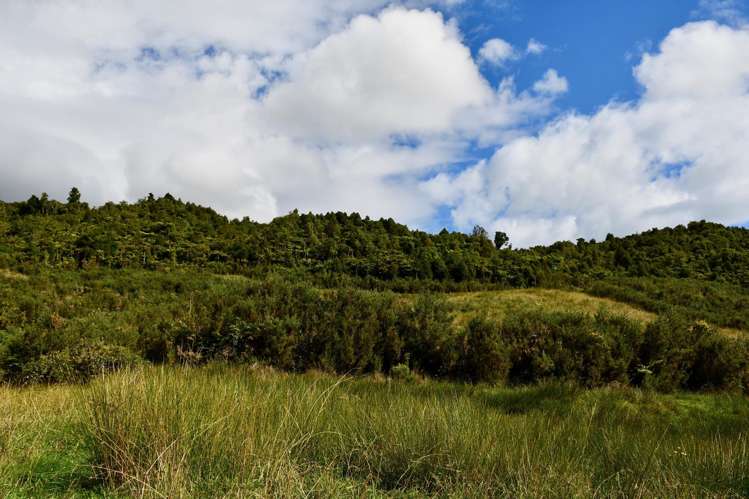 40Ha Block State Highway 67 Mokihinui_18