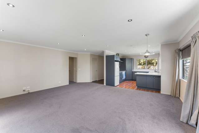 51 Matene Street Otaki_4