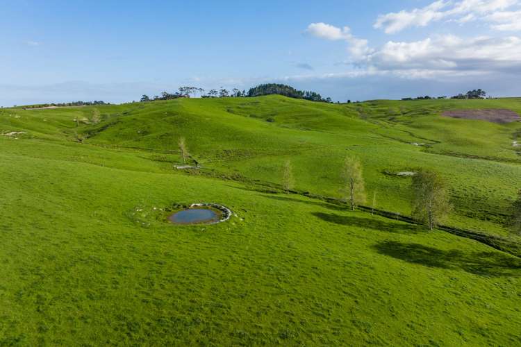 52 Gillon Road Matakohe_25