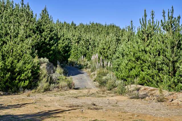 Fernhill Drive Judgeford_4