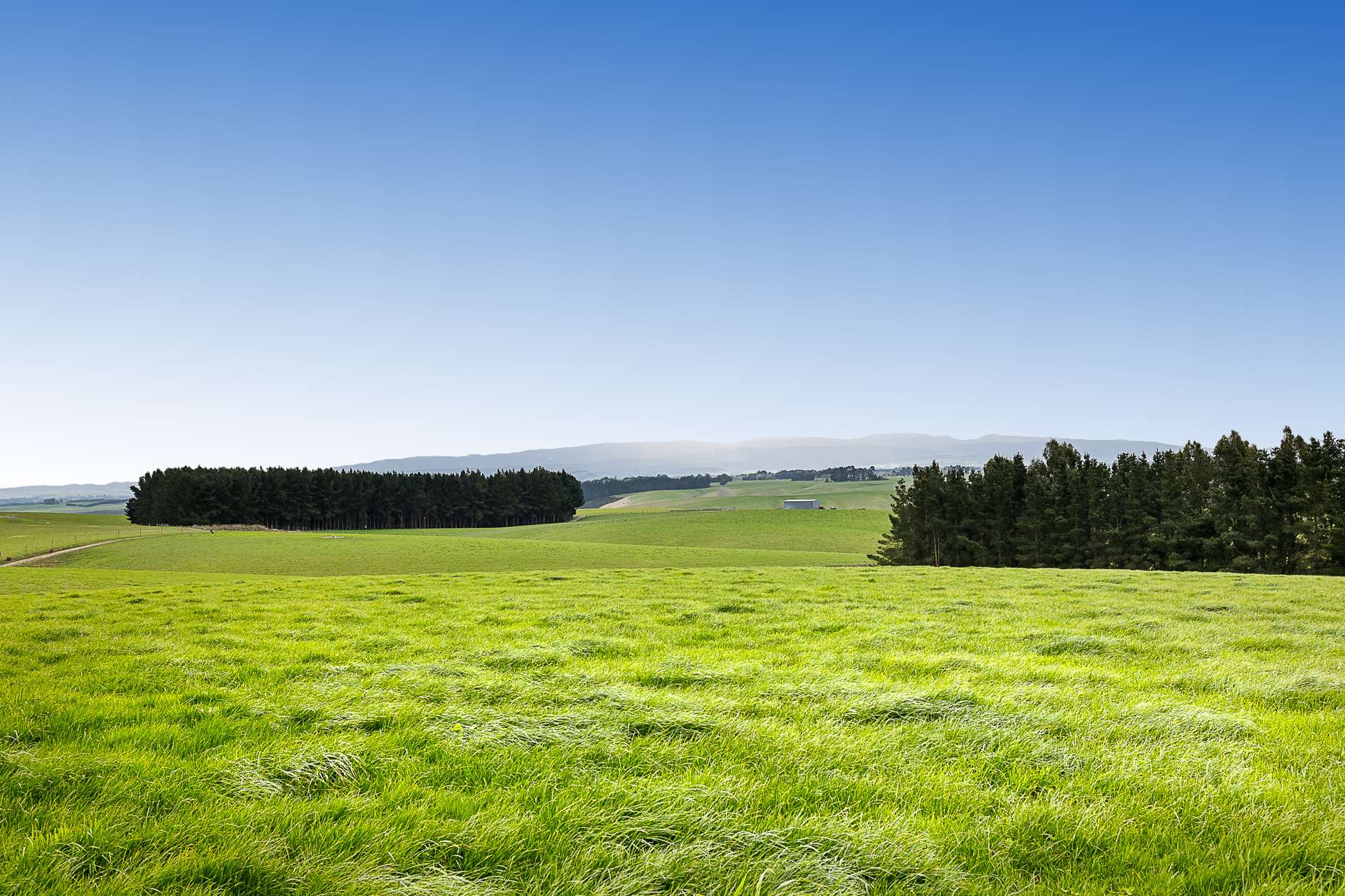 Black Bridge Road, Taumata Clydevale_0
