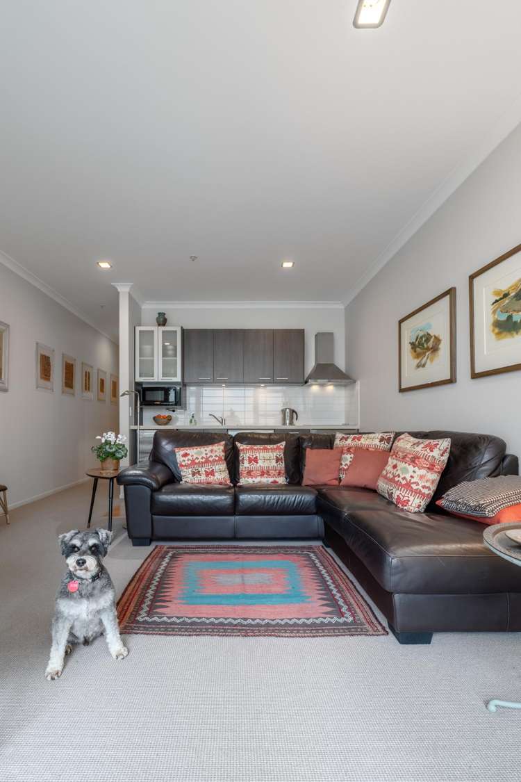 2H/39 Mackelvie Street Grey Lynn_11