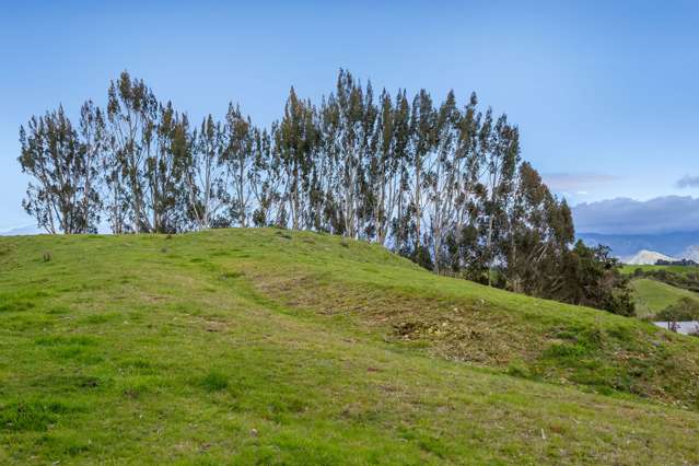 48 Norsewood Ormondville Road Norsewood_2