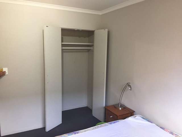 60C Willoughby Street Whitiora_2