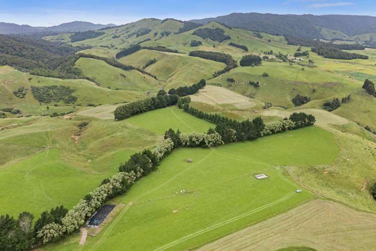 134 Millard Road Maihiihi_21