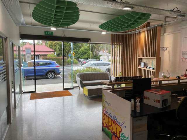 169 Manukau Road Epsom_2