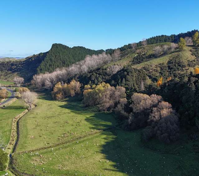 5679 State Highway 1 Mangaweka_2