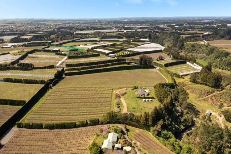 388 Manoeka Road Te Puke_16